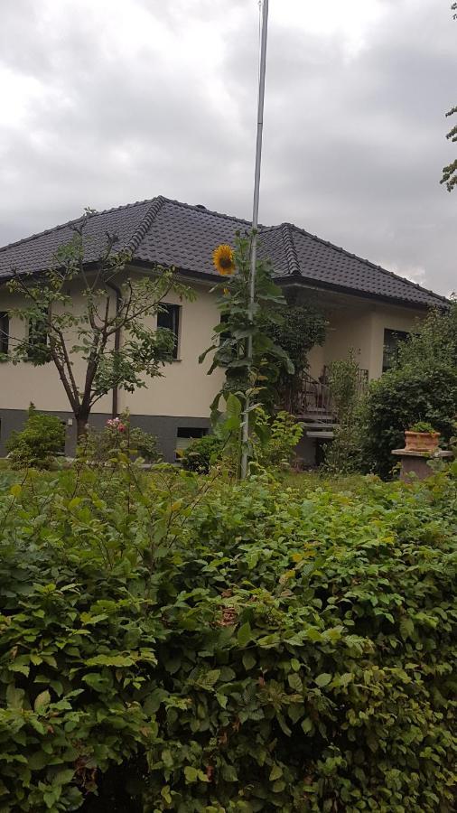 Ferienwohnung "Am Fechtertor- Eingang Zum Schlosspark" Putbus Kültér fotó