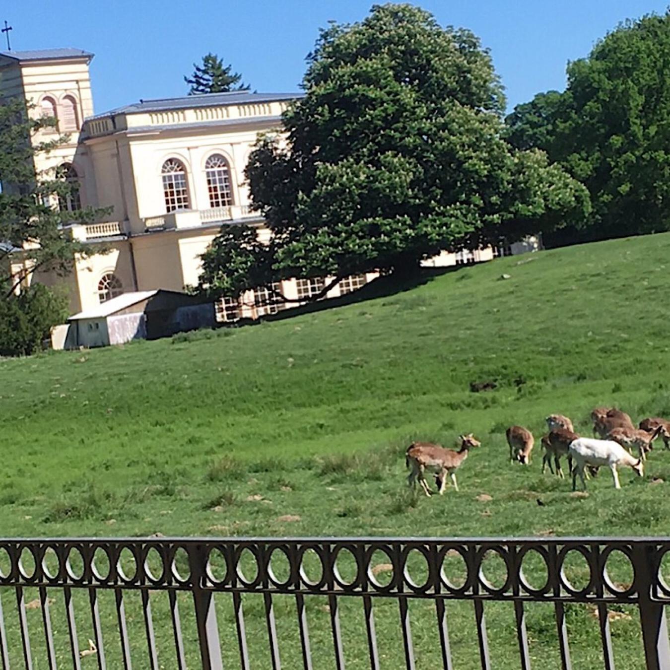 Ferienwohnung "Am Fechtertor- Eingang Zum Schlosspark" Putbus Kültér fotó